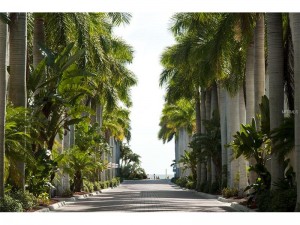 Paved Boulevard to Siesta Key Beach